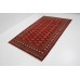 Oriental rug Bukhara Exclusive