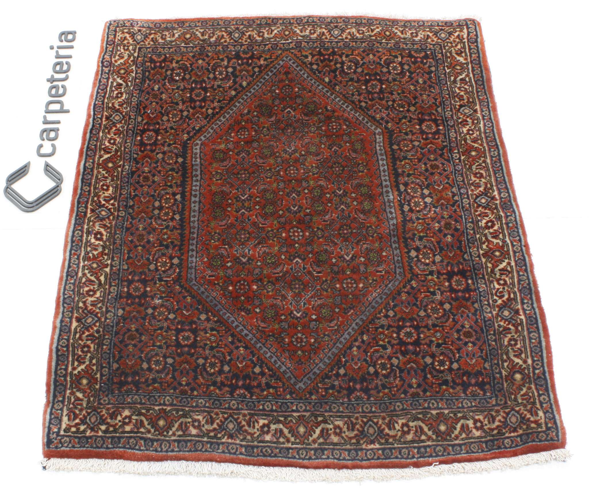 Persian rug Bijar Super