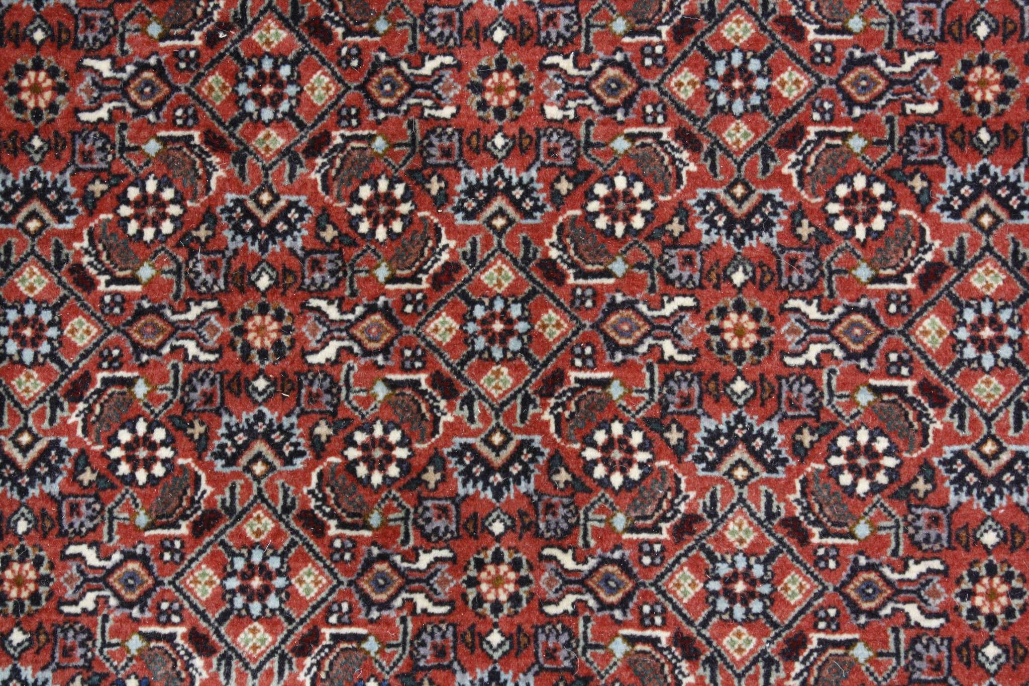 Persian rug Bijar Exclusive