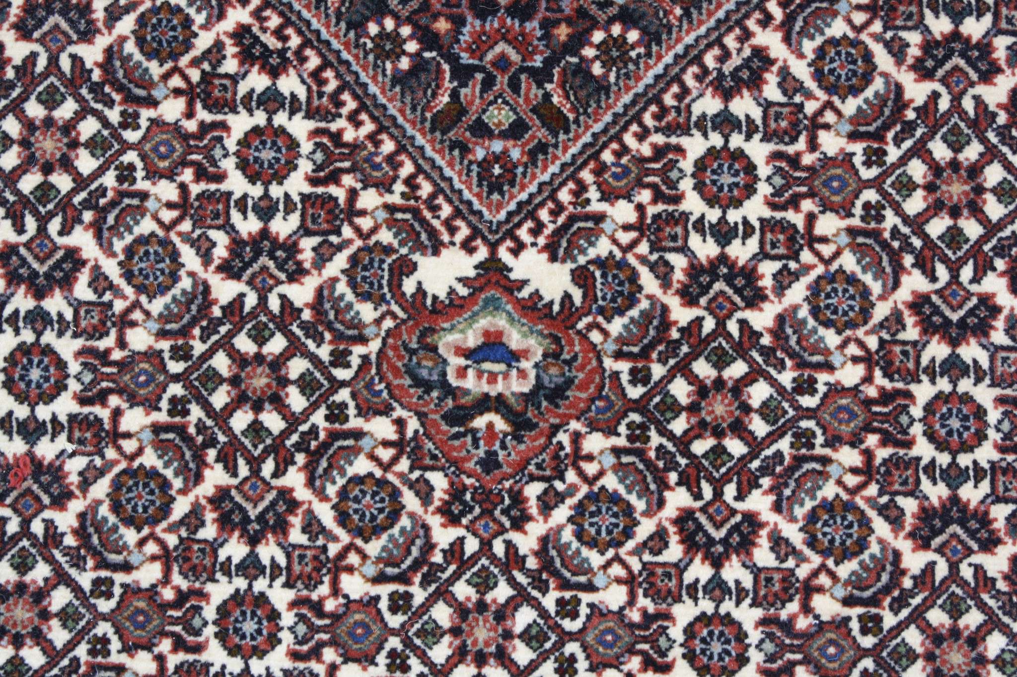 Persian rug Bijar Exclusive