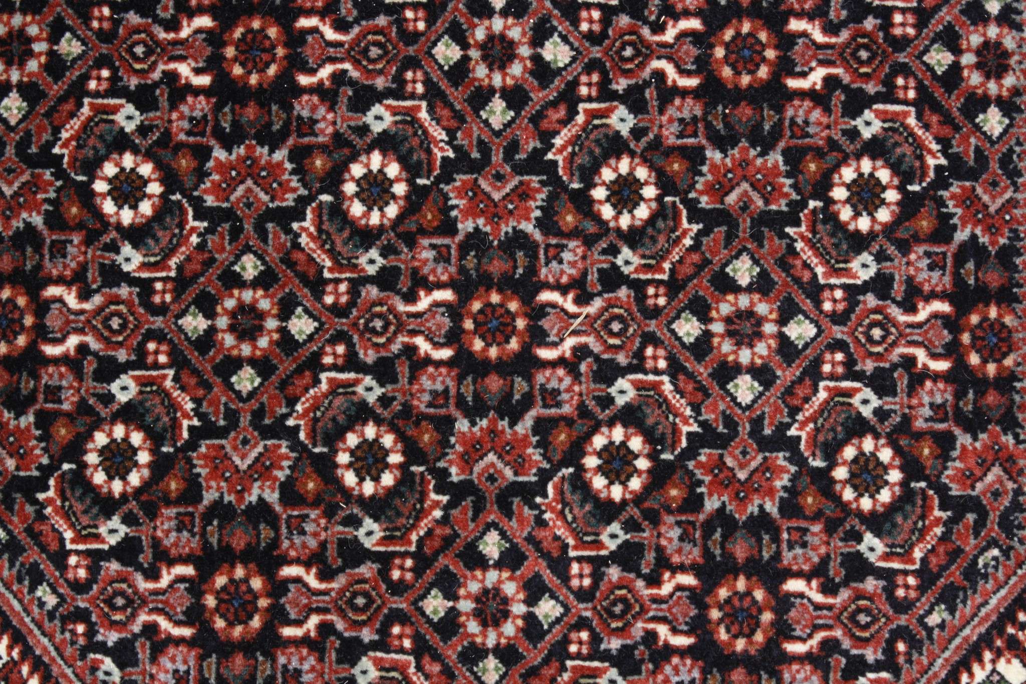 Persian rug Bijar Exclusive