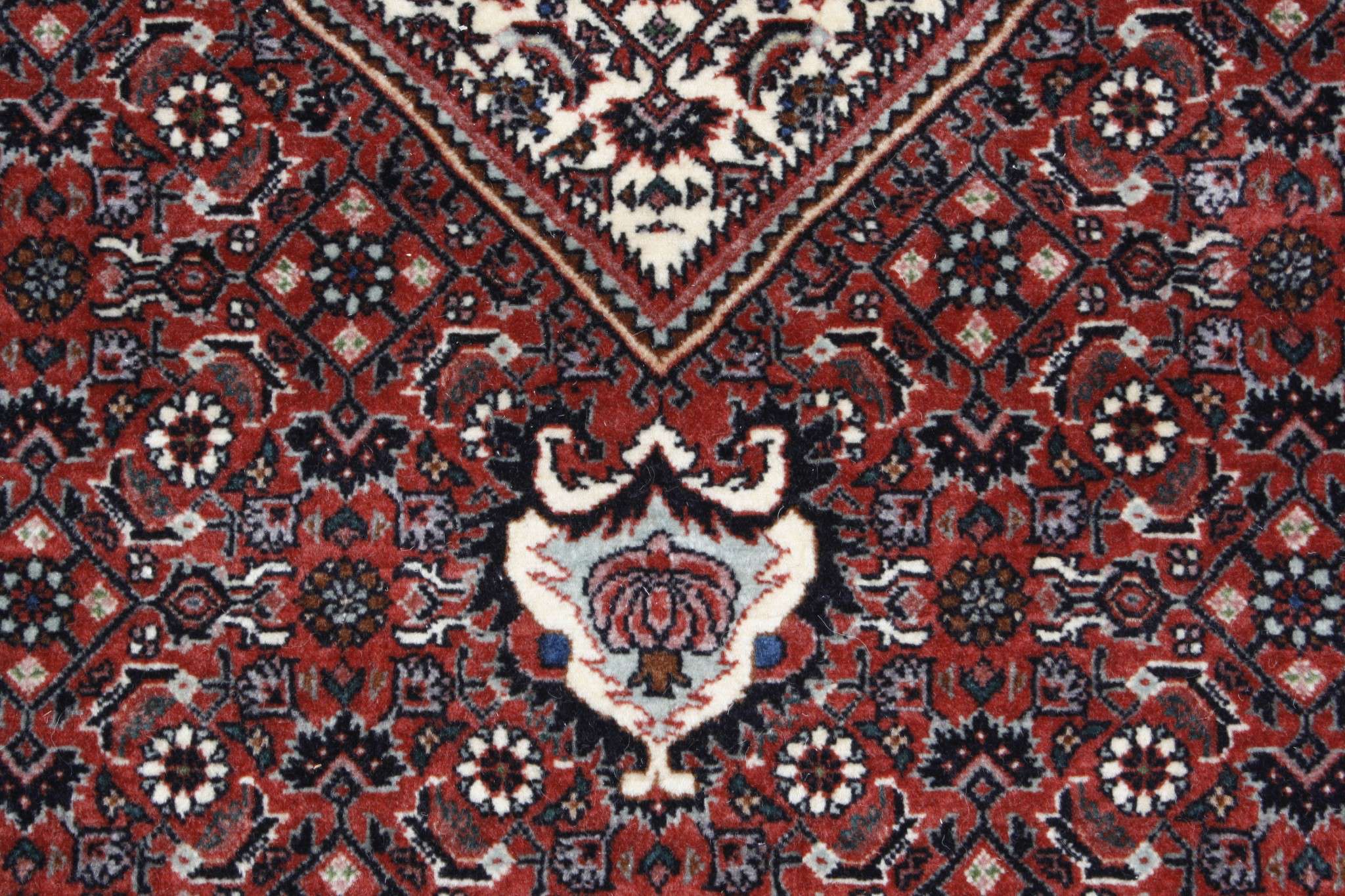 Persian rug Bijar Exclusive