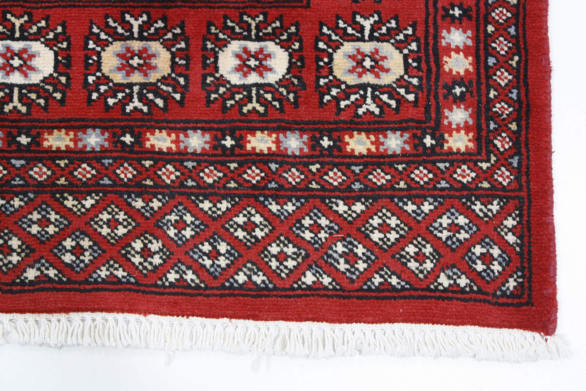 Oriental rug Bukhara Exclusive