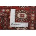 Oriental rug Bukhara Exclusive