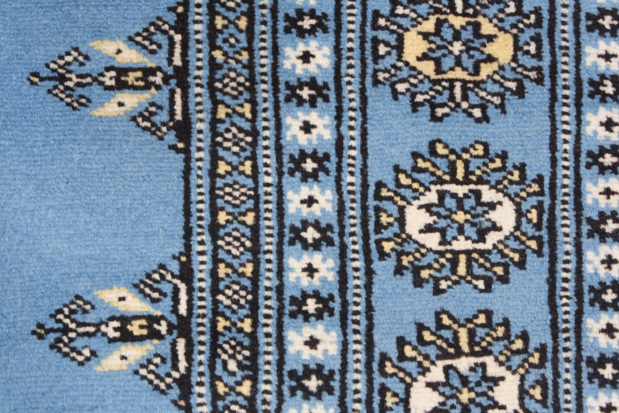 Oriental rug Bukhara Exclusive