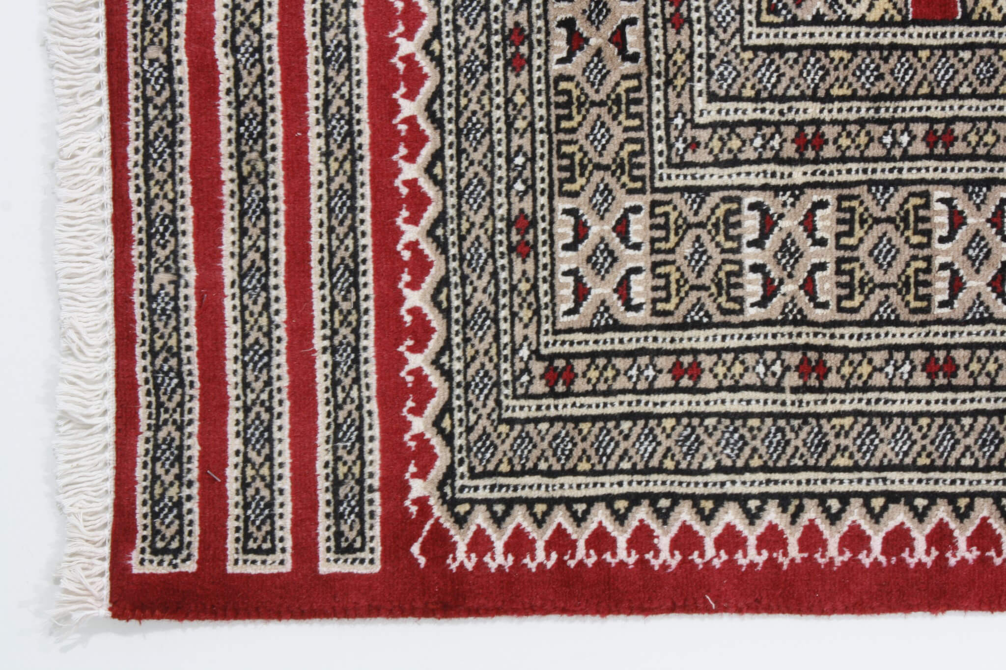 Oriental rug Jaldar Exclusive