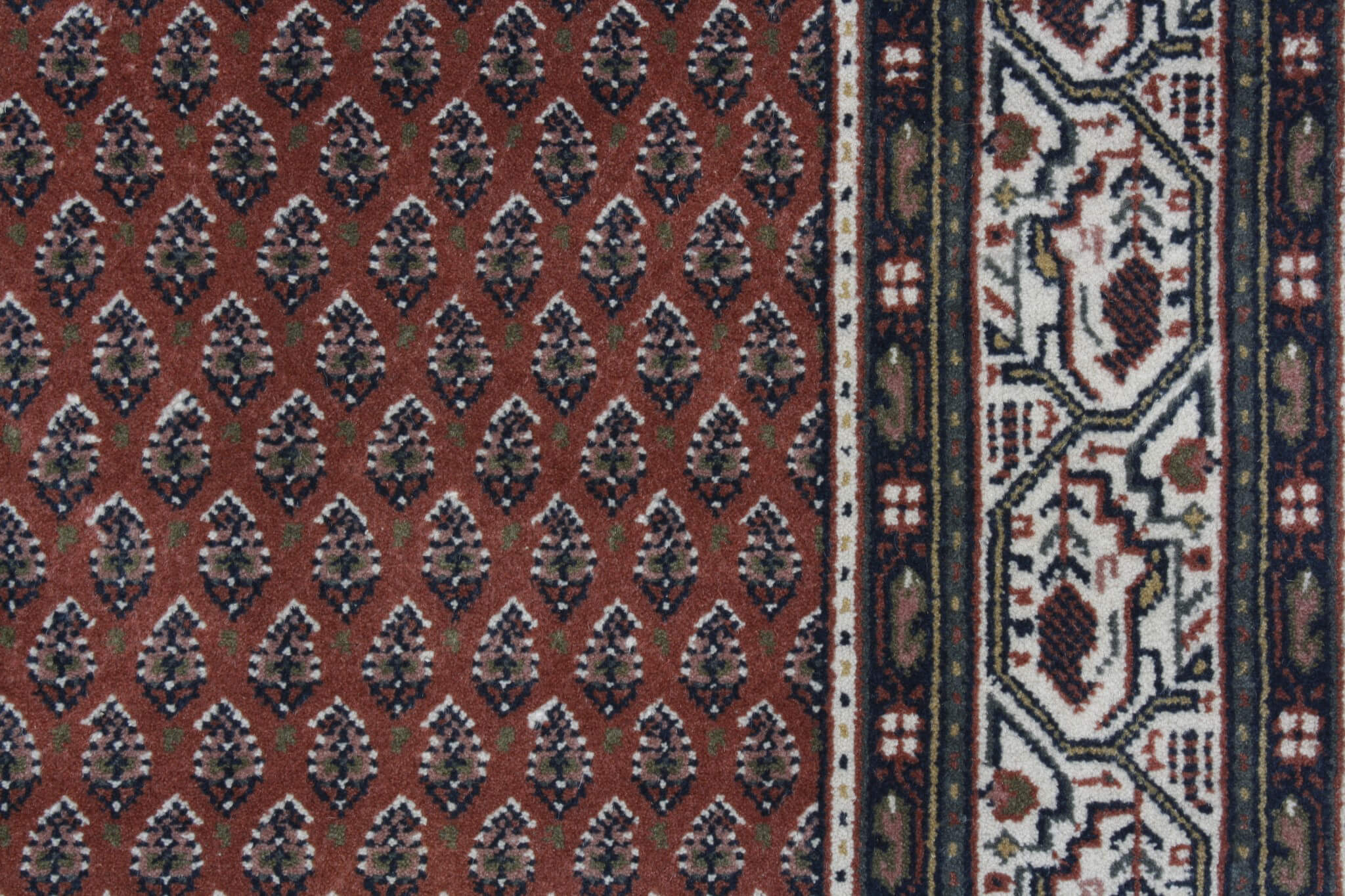 Oriental rug Mir Exclusive