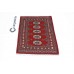 Oriental rug Bukhara Exclusive