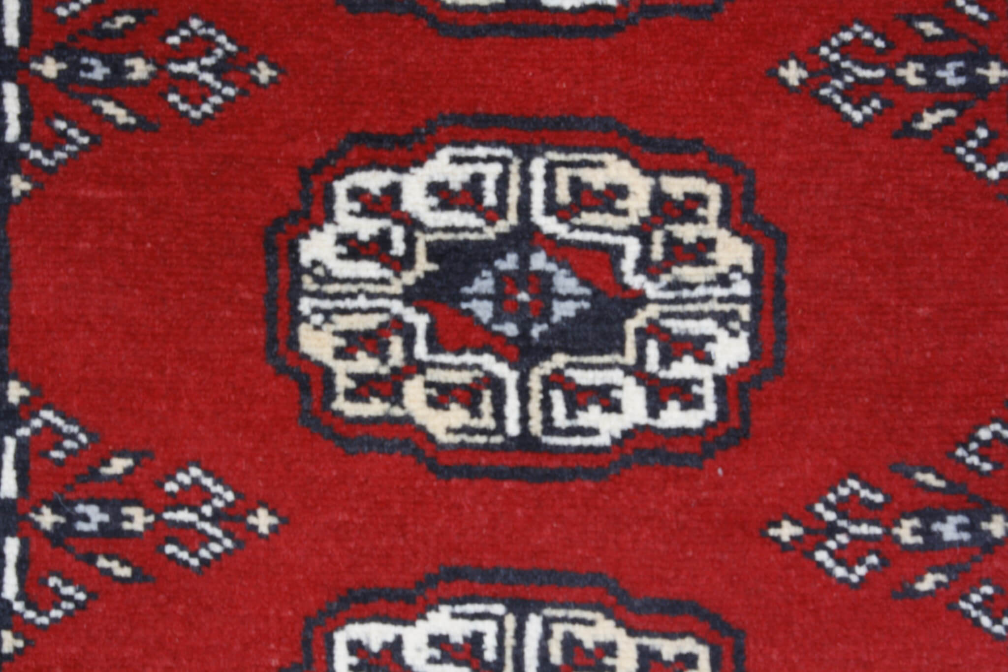 Oriental rug Bukhara Exclusive