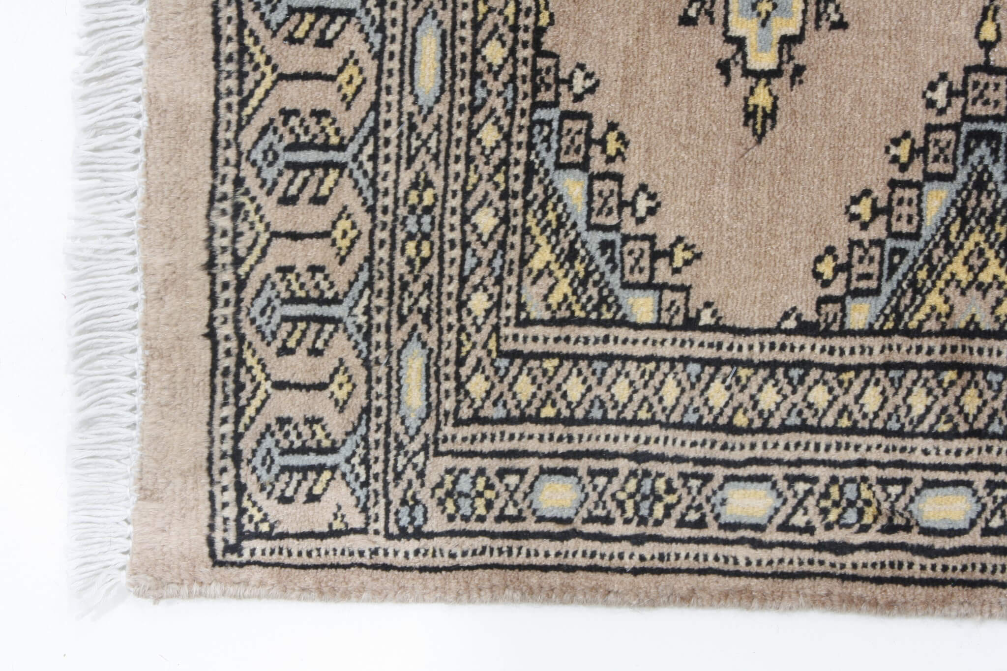 Oriental rug Jaldar Exclusive