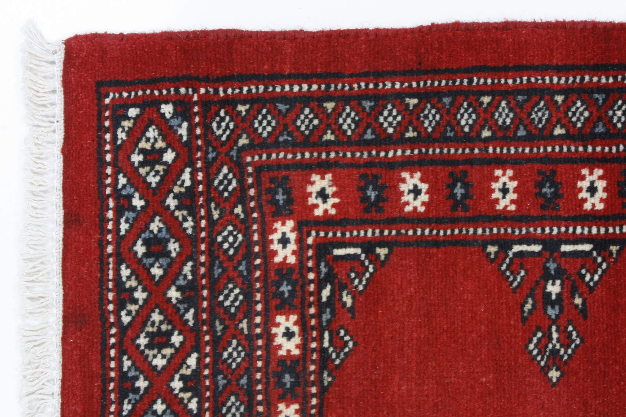 Oriental rug Bukhara Exclusive