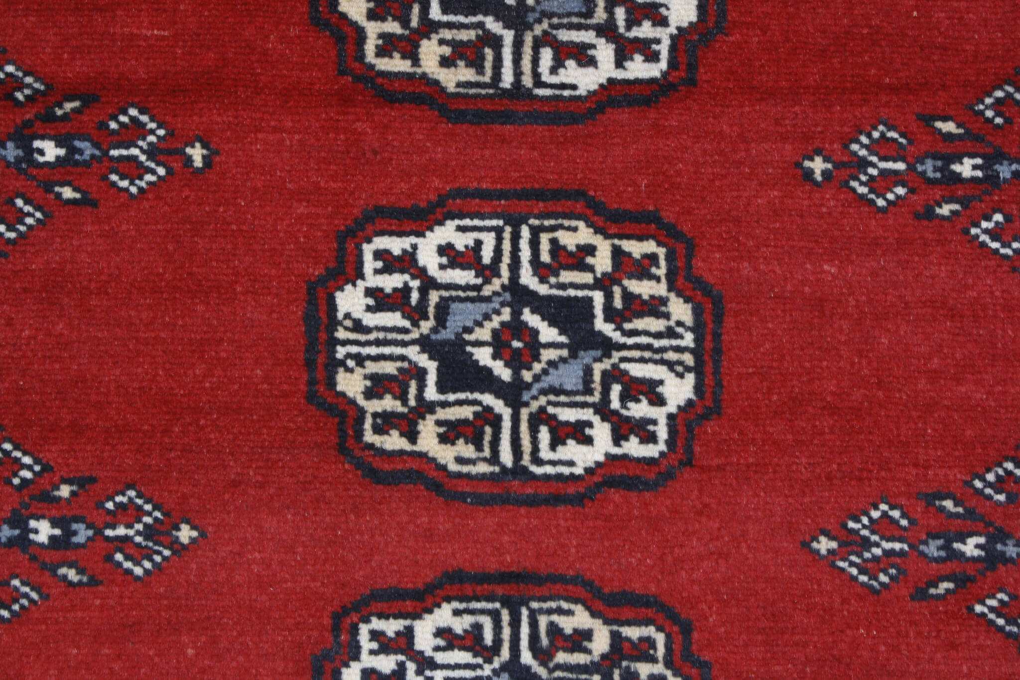 Oriental rug Bukhara Exclusive