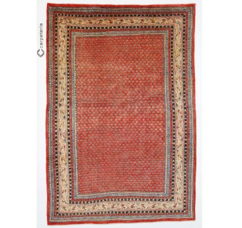 Persian rug Sarough Mir