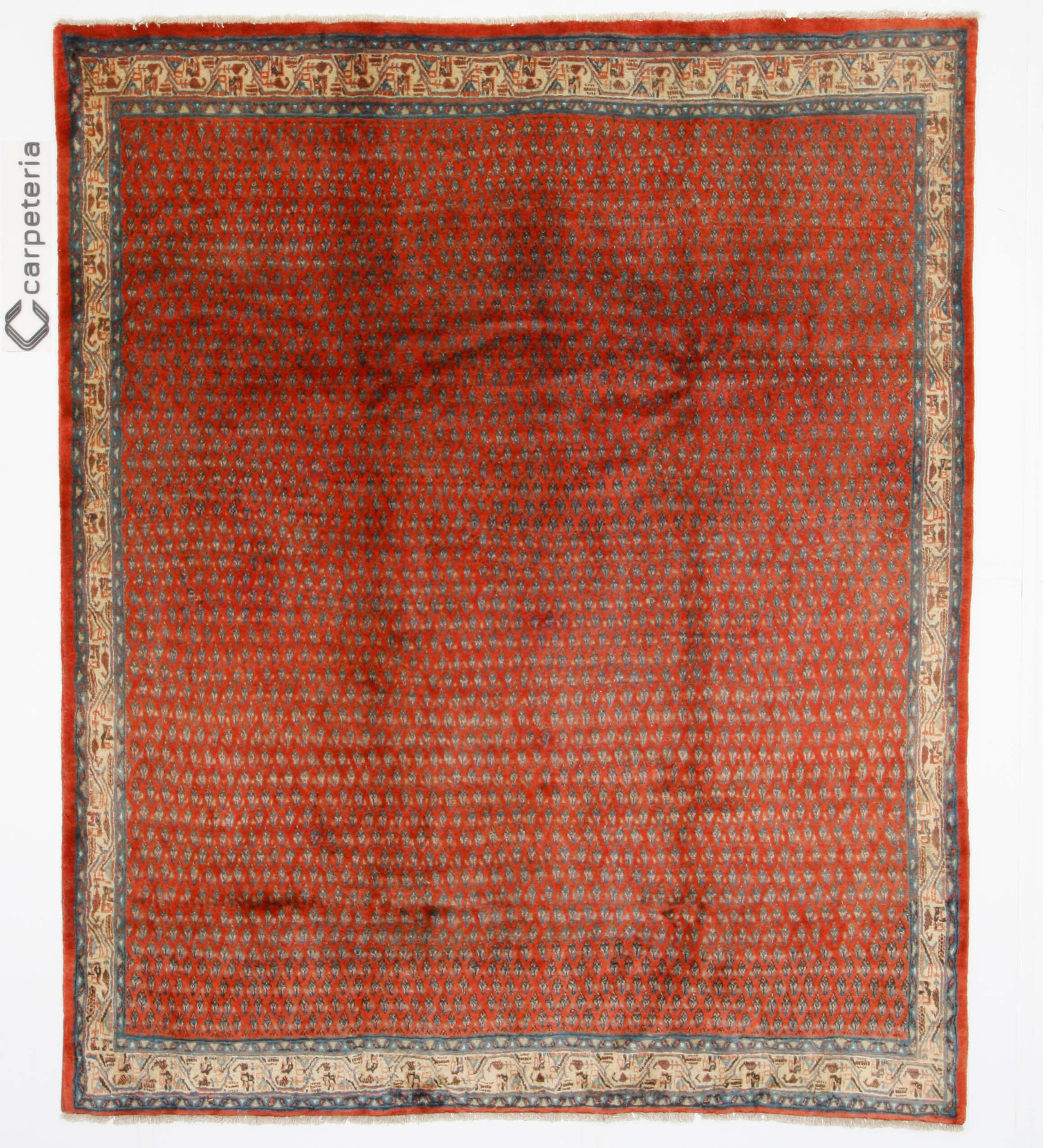 Persian rug Sarough