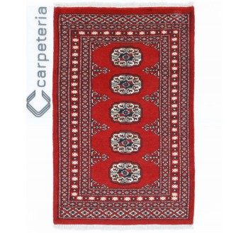 Oriental rug Bukhara Exclusive