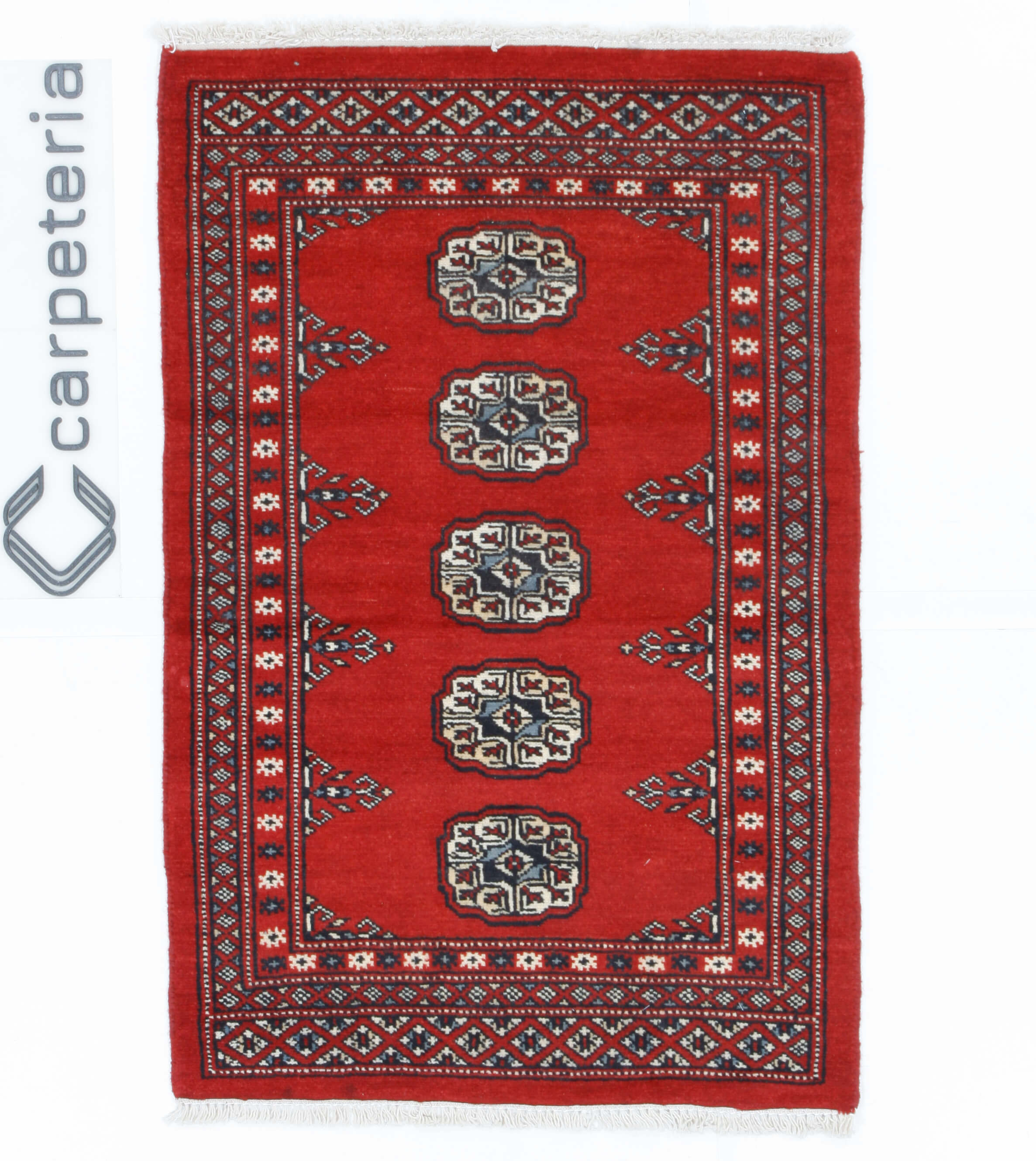 Oriental rug Bukhara Exclusive