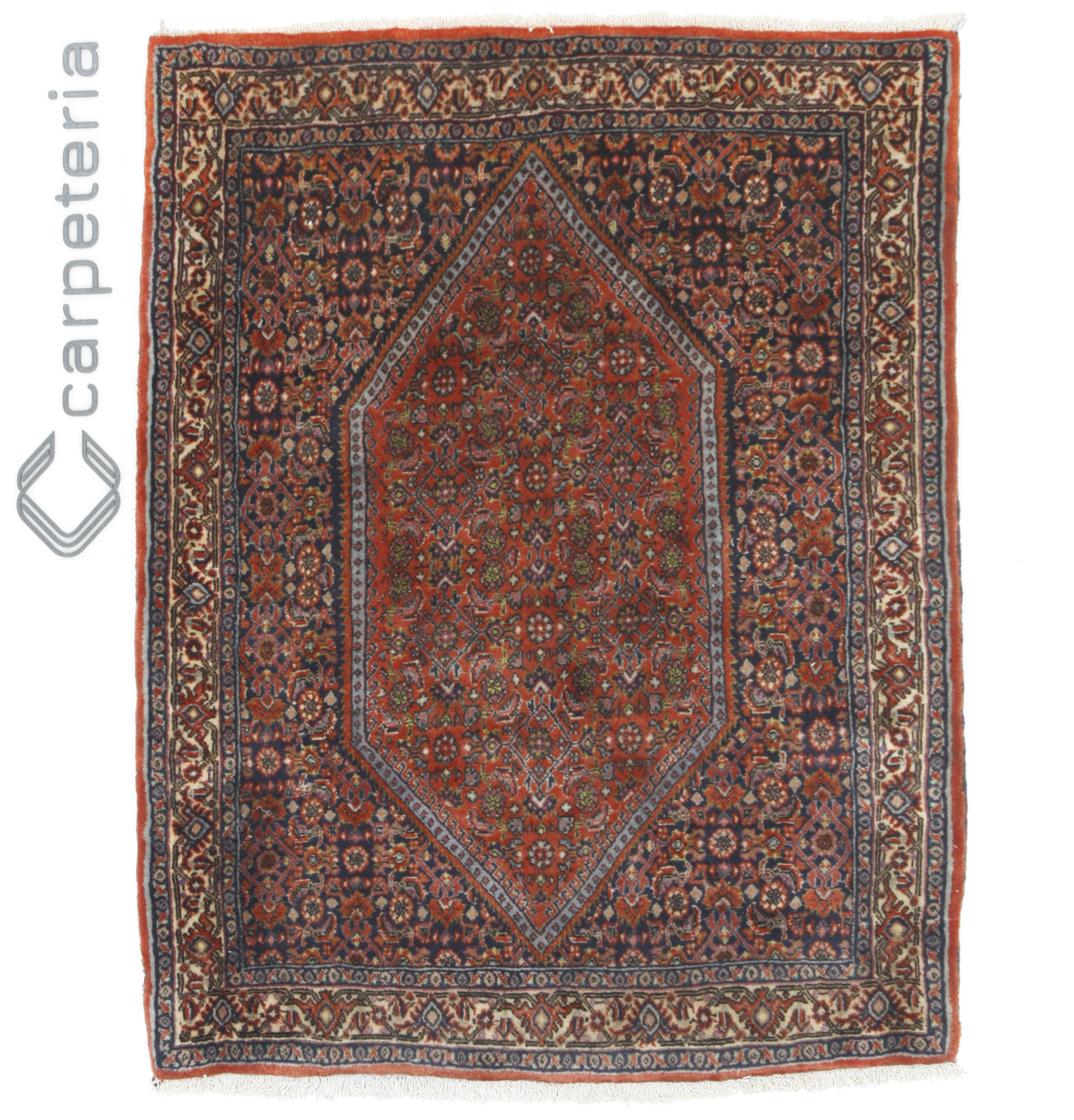 Persian rug Bijar Super