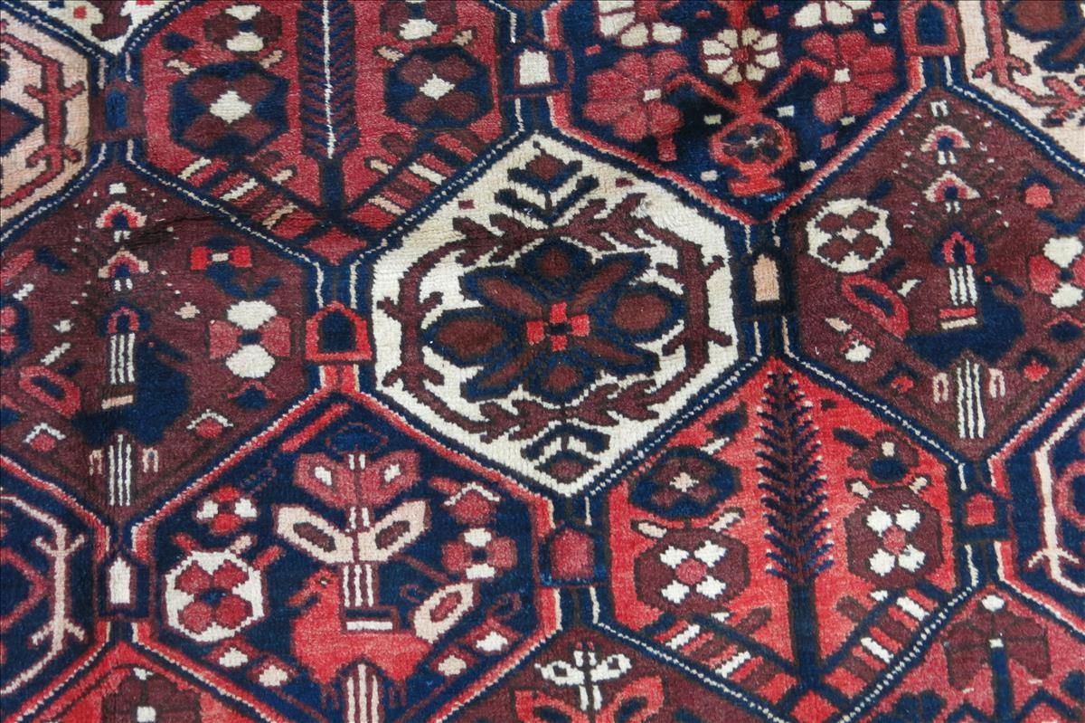 Oriental rug Bakhtiar Super