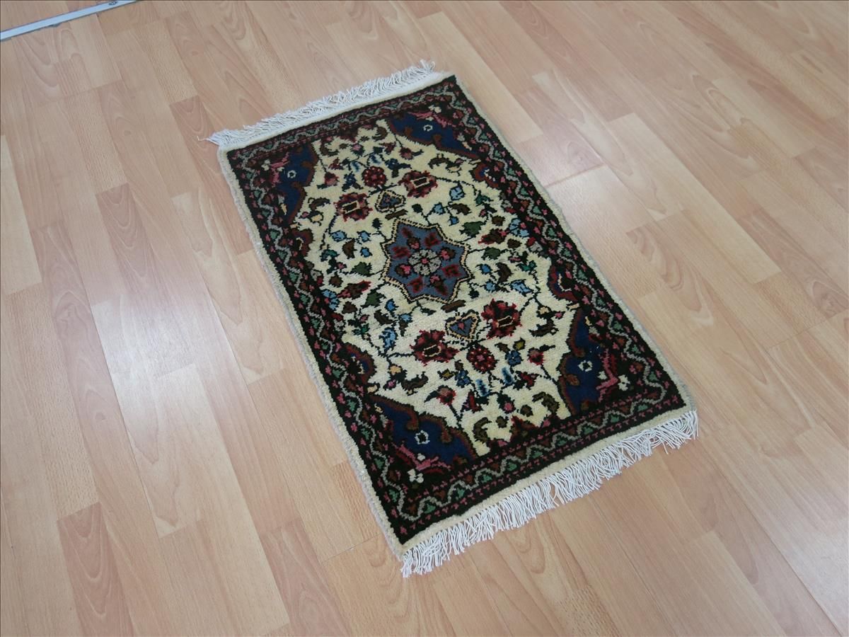 Oriental rug Darjazin Super