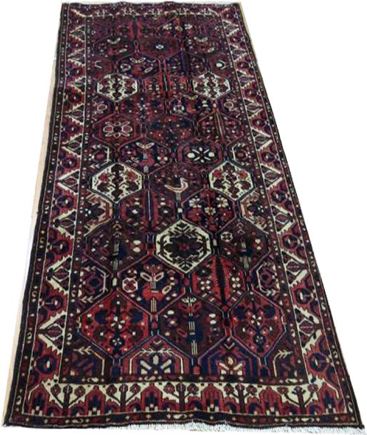 Oriental rug Bakhtiar Super